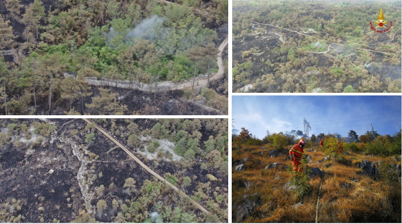 Incendio ormai sotto controllo, si torna a respirare sul Carso